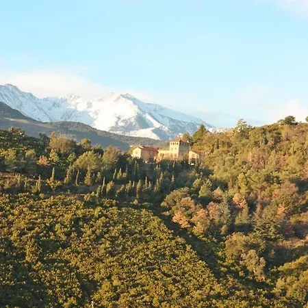 Ferienhaus Mas D'en Llinas Castelnou